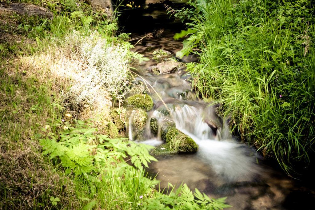 Auberge Du Moulin De Lere Vailly Dış mekan fotoğraf